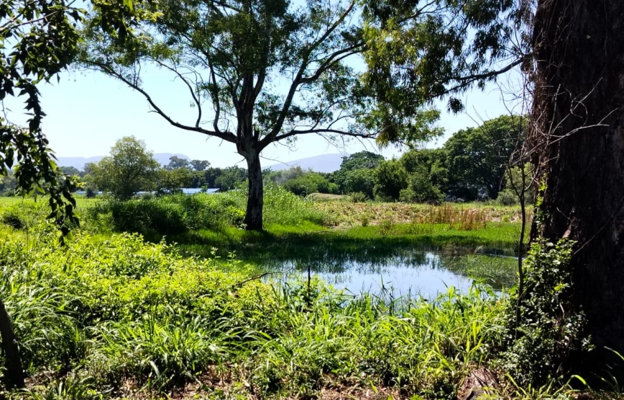 Commercial Property for Sale in Krokodildrift A H North West